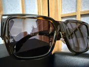 Versace Medusa Biggie Sunglasses